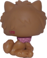 #1157 Chow Chow